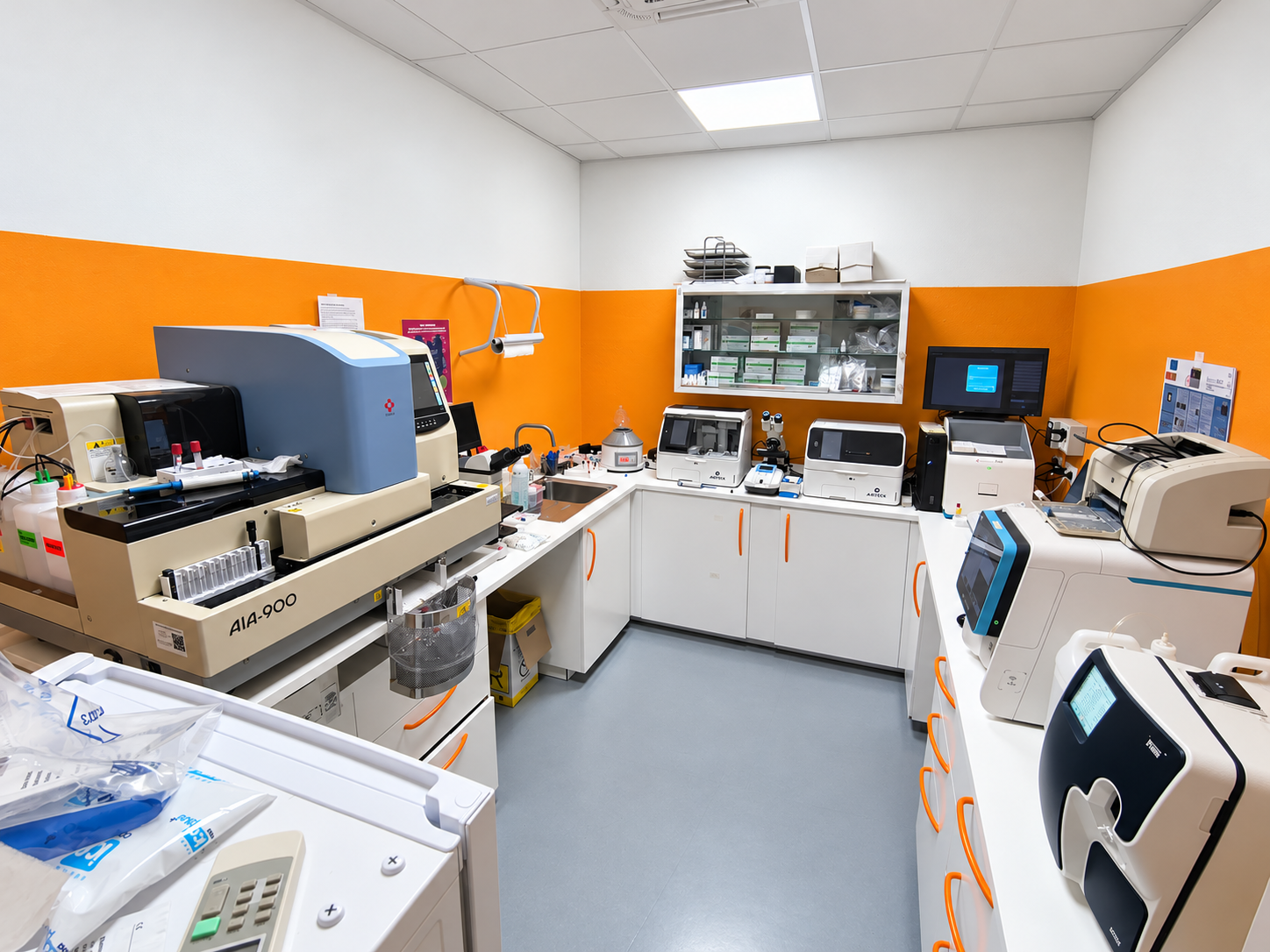 //www.clinicaveterinariaarcadia.it/wp-content/uploads/2026/10/Ambulatorio-veterinario-arancione-luminoso-1.png
