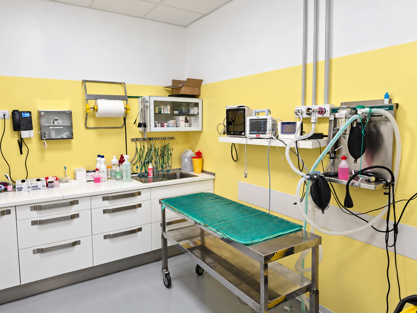 //www.clinicaveterinariaarcadia.it/wp-content/uploads/2026/10/Ambulatorio-veterinario-luminoso-2.png