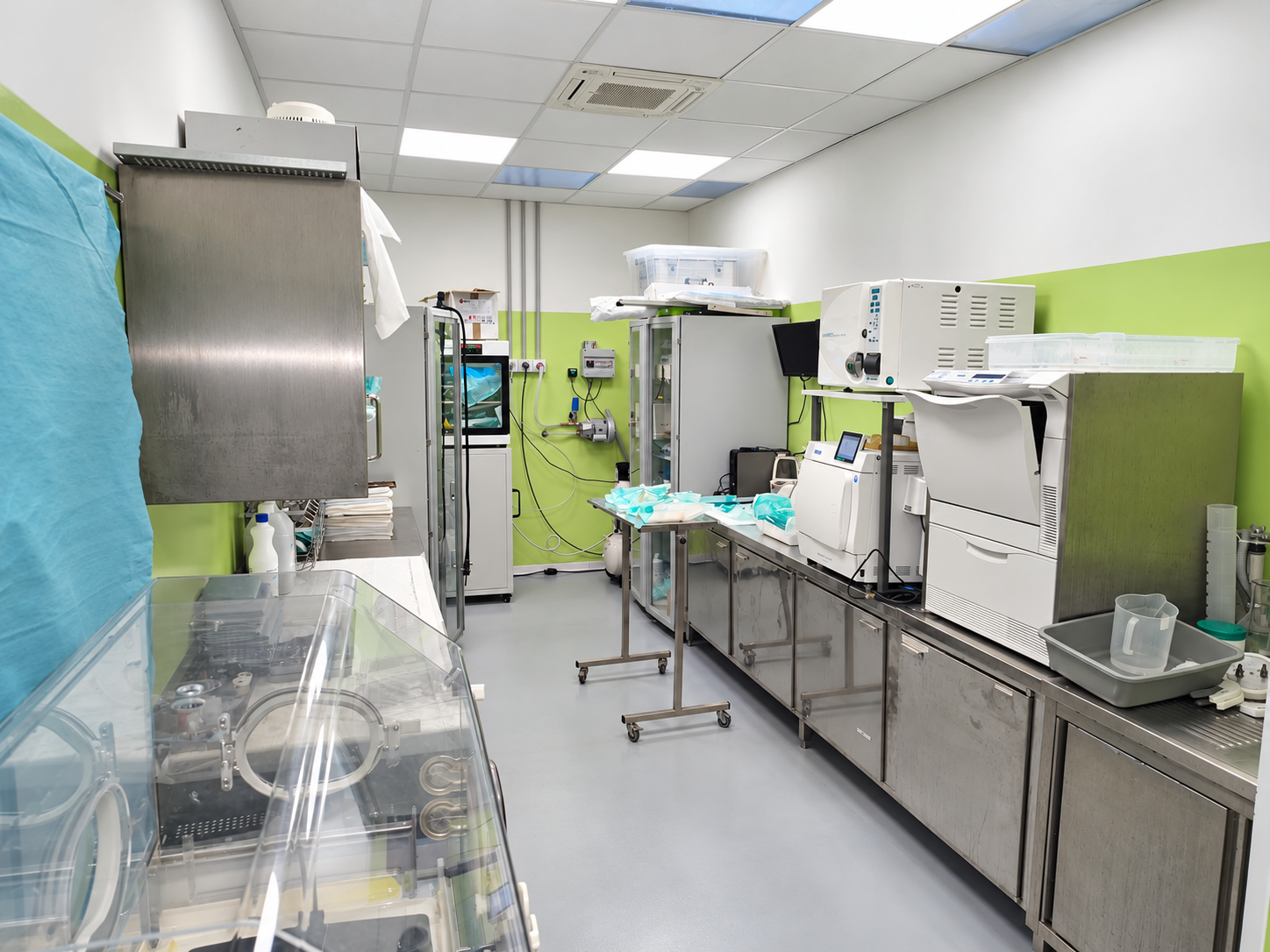 //www.clinicaveterinariaarcadia.it/wp-content/uploads/2026/10/Ambulatorio-veterinario-verde-e-luminoso-3.png
