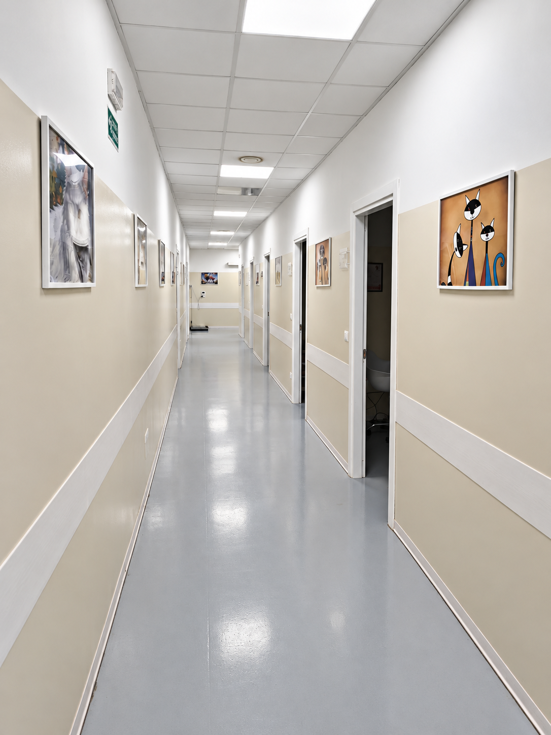 //www.clinicaveterinariaarcadia.it/wp-content/uploads/2026/10/Corridoio-luminoso-della-clinica-veterinaria.png