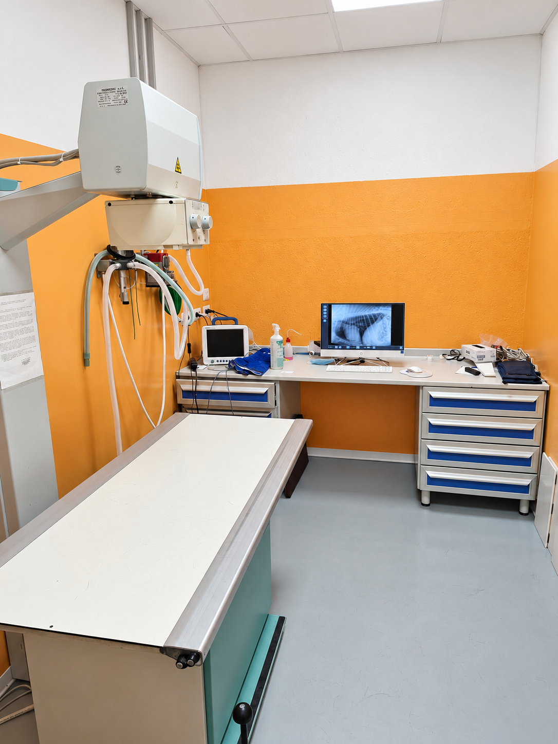 //www.clinicaveterinariaarcadia.it/wp-content/uploads/2026/10/Sala-radiografica-veterinaria-luminosa-6.png